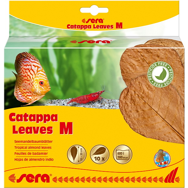 SERA Листья индийского миндаля Catappa Leaves M 18см