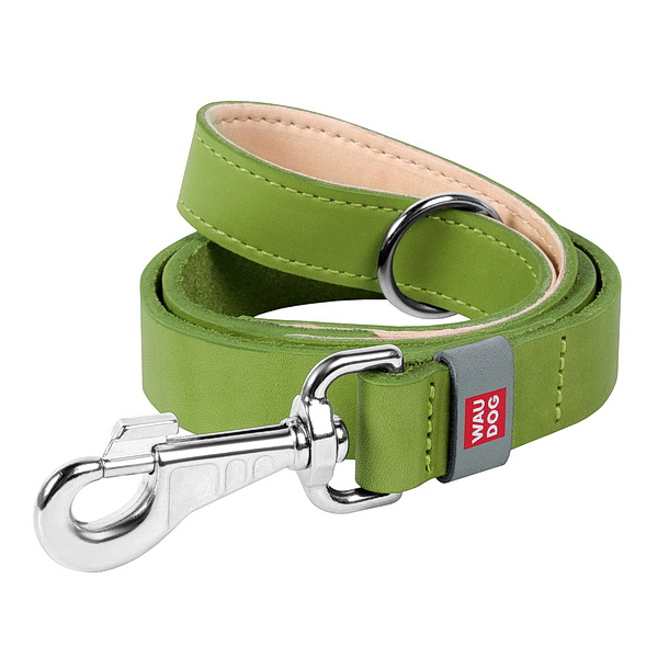 Collar поводок WAUDOG Classic 20мм 122см салатовый