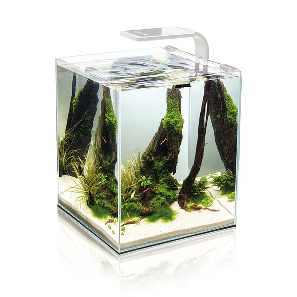 AQUAEL SHRIM SET SMART PLANT 20л аквариум д/креветок белый