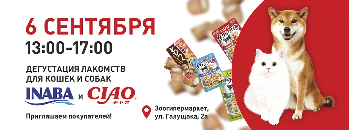 Бесплатная дегустация лакомств для питомцев в «Красном Кролике» Бесплатная дегустация лакомств для питомцев в «Красном Кролике»