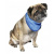NOBBY COOLING-BANDANA  бандана для собак охлаждающая 43см х 58см купить в Новосибирске