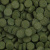 SERA SPIRULINA TABS 24таб корм д/рыб растительный (вес) купить в Новосибирске