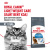 Royal Canin д/кошек Лайт вейт кэа 1,5 кг купить в Новосибирске