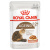 Влажный корм ROYAL CANIN AGEING 12+ для кошек старше 12 лет, соус, 85 г купить в Новосибирске