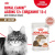 Влажный корм ROYAL CANIN AGEING 12+ для кошек старше 12 лет, соус, 85 г купить в Новосибирске
