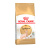 Royal Canin Sphynx Adult для породы Сфинкс кошки 2кг купить в Новосибирске Royal Canin Sphynx Adult для породы Сфинкс кошки 2кг купить в Новосибирске