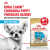 Корм сухой ROYAL CANIN Chihuahua Puppy для щенков породы Чихуахуа до 8 месяцев,500г купить в Новосибирске Корм сухой ROYAL CANIN Chihuahua Puppy для щенков породы Чихуахуа до 8 месяцев,500г купить в Новосибирске
