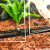 Террариум 60*45*90 PetPetZone купить в Новосибирске