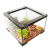 PetPetZone Террариум 30*30*20см бездверный купить в Новосибирске