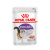 Royal Canin Sterilised для стерилизованных кошки паштет 85г купить в Новосибирске Royal Canin Sterilised для стерилизованных кошки паштет 85г купить в Новосибирске