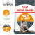 Royal Canin Хэйр Энд Скин Кэа Кошка сухой корм для взрослых кошек с проблемной шерстью и чувс 2кг купить в Новосибирске