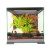 Террариум 30*30*30 см PetPetZone (паучатник) купить в Новосибирске Террариум 30*30*30 см PetPetZone (паучатник) купить в Новосибирске