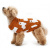 Свитер LionPets LMK-H143, Размер L (спинка 35 см) купить в Новосибирске Свитер LionPets LMK-H143, Размер L (спинка 35 см) купить в Новосибирске