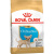 Корм сухой ROYAL CANIN Chihuahua Puppy для щенков породы Чихуахуа до 8 месяцев,500г купить в Новосибирске Корм сухой ROYAL CANIN Chihuahua Puppy для щенков породы Чихуахуа до 8 месяцев,500г купить в Новосибирске